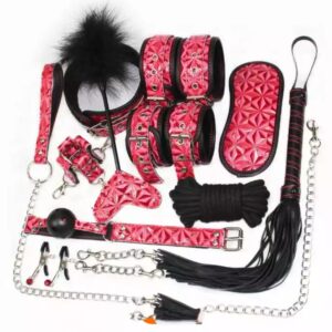 Alice BDSM Set Pink