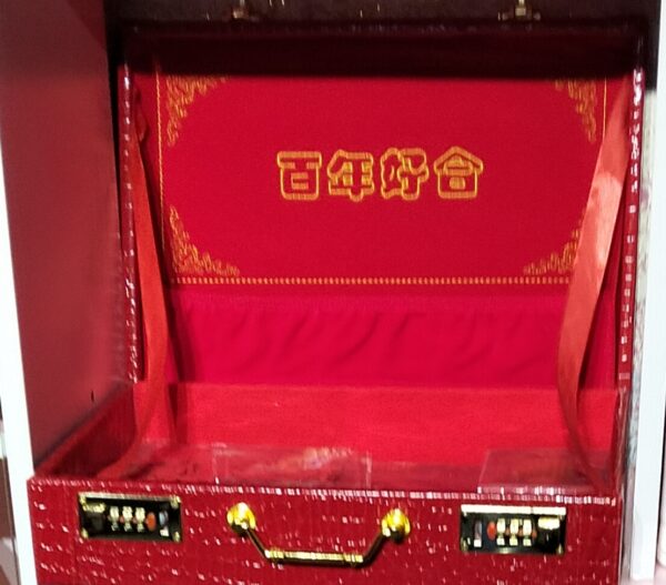 sex toy lockbox LOCKABLE ADULT CASE KEYLESS STORAGE PRIVACY BOX COMBINATION LOCK TOY CHEST main image 1