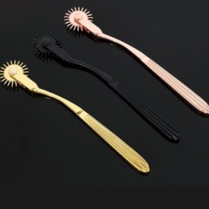 Metal Wartenberg Pinwheel Steel Bdsm